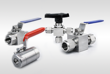 Diaphragm Seal & Accessories