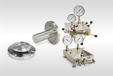 Diaphragm Seal